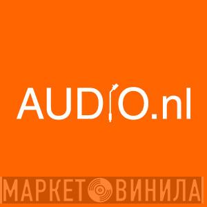 Audio.nl - Винил CD и Кассеты лейбла Audio.nl на сайте МаркетВинила