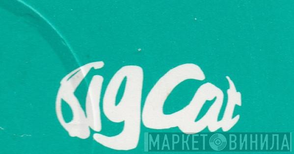 Big Cat Records  - Винил CD и Кассеты лейбла Big Cat Records (5) на сайте МаркетВинила