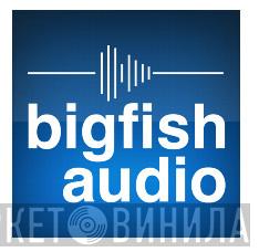 Big Fish Audio  - Винил CD и Кассеты лейбла Big Fish Audio (2) на сайте МаркетВинила