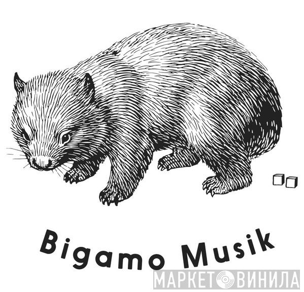 Bigamo - Винил CD и Кассеты лейбла Bigamo на сайте МаркетВинила