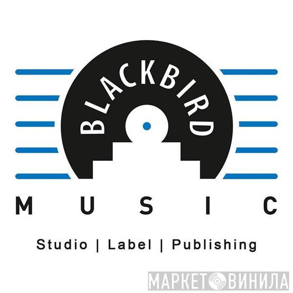 Blackbird Music  - Винил CD и Кассеты лейбла Blackbird Music (3) на сайте МаркетВинила