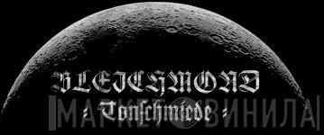 Bleichmond Tonschmiede - Винил CD и Кассеты лейбла Bleichmond Tonschmiede на сайте МаркетВинила