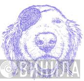 Blind Jacks Journey - Винил CD и Кассеты лейбла Blind Jacks Journey на сайте МаркетВинила