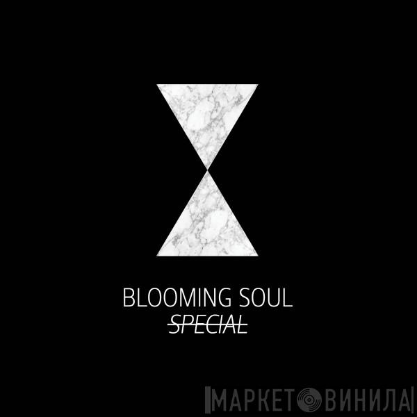 Blooming Soul Special - Винил CD и Кассеты лейбла Blooming Soul Special на сайте МаркетВинила