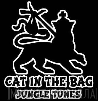 Cat In The Bag - Винил CD и Кассеты лейбла Cat In The Bag на сайте МаркетВинила