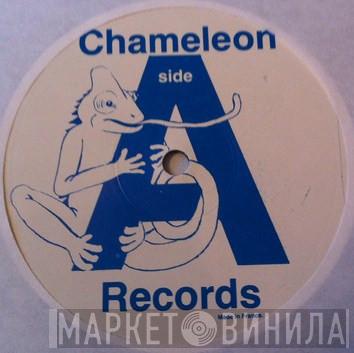 Chamelion Records - Винил CD и Кассеты лейбла Chamelion Records на сайте МаркетВинила