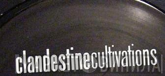 Clandestine Cultivations - Винил CD и Кассеты лейбла Clandestine Cultivations на сайте МаркетВинила