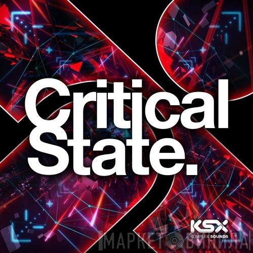 Critical State - Винил CD и Кассеты лейбла Critical State на сайте МаркетВинила
