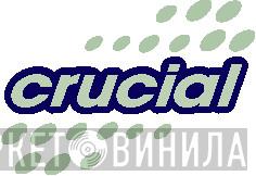 Crucial Sounds - Винил CD и Кассеты лейбла Crucial Sounds на сайте МаркетВинила