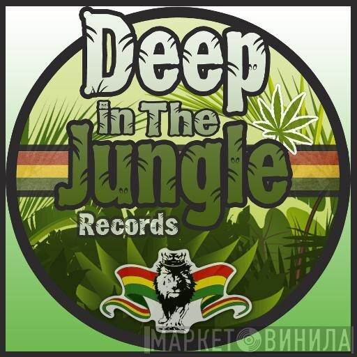 Deep In The Jungle Records - Винил CD и Кассеты лейбла Deep In The Jungle Records на сайте МаркетВинила
