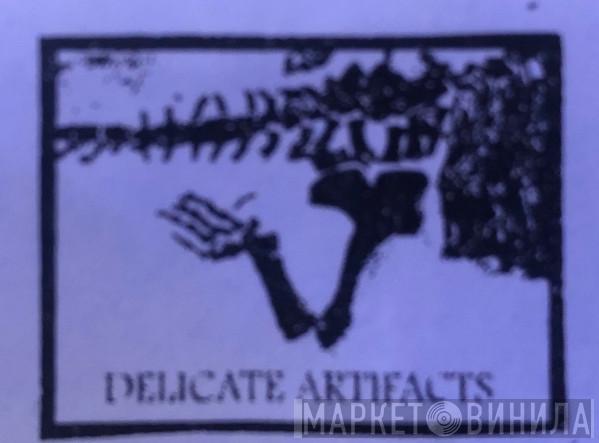 Delicate Artifacts - Винил CD и Кассеты лейбла Delicate Artifacts на сайте МаркетВинила