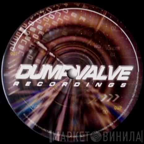 Dump Valve Recordings - Винил CD и Кассеты лейбла Dump Valve Recordings на сайте МаркетВинила