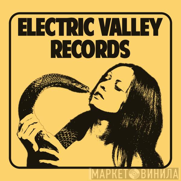 Electric Valley Records - Винил CD и Кассеты лейбла Electric Valley Records на сайте МаркетВинила