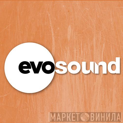 Evosound - Винил CD и Кассеты лейбла Evosound на сайте МаркетВинила