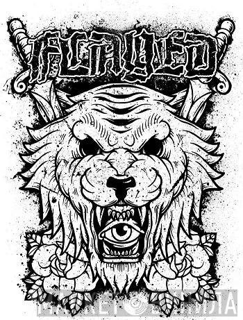 Flayed Audio - Винил CD и Кассеты лейбла Flayed Audio на сайте МаркетВинила