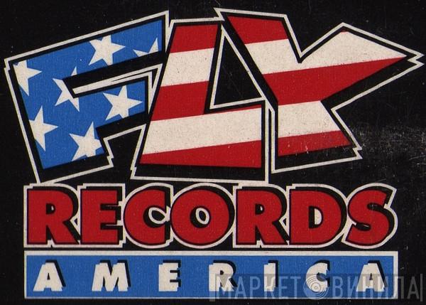 Fly Records America - Винил CD и Кассеты лейбла Fly Records America на сайте МаркетВинила