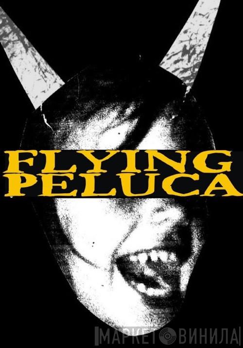 Flying Peluca Records - Винил CD и Кассеты лейбла Flying Peluca Records на сайте МаркетВинила