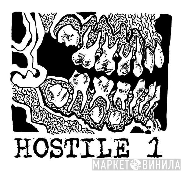 Hostile 1 Tapes - Винил CD и Кассеты лейбла Hostile 1 Tapes на сайте МаркетВинила