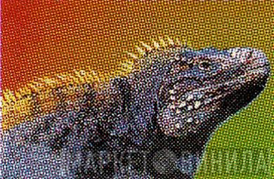 Iguana  - Винил CD и Кассеты лейбла Iguana (3) на сайте МаркетВинила