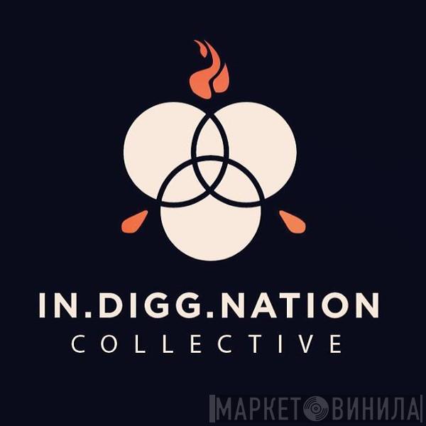 In.Digg.Nation Collective - Винил CD и Кассеты лейбла In.Digg.Nation Collective на сайте МаркетВинила