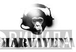 Karvavena - Винил CD и Кассеты лейбла Karvavena на сайте МаркетВинила