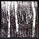 Klimt Records - Винил CD и Кассеты лейбла Klimt Records на сайте МаркетВинила