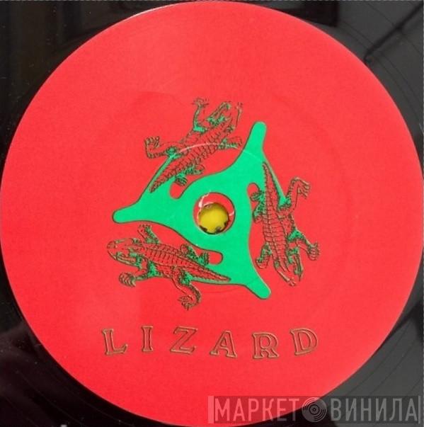 Lizard Records - Винил CD и Кассеты лейбла Lizard Records на сайте МаркетВинила