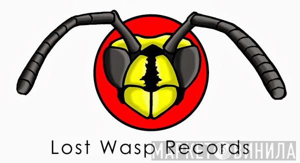 Lost Wasp Records - Винил CD и Кассеты лейбла Lost Wasp Records на сайте МаркетВинила