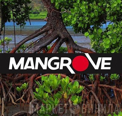 Mangrove Productions  - Винил CD и Кассеты лейбла Mangrove Productions (2) на сайте МаркетВинила