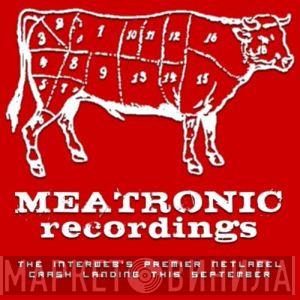 Meatronic Recordings - Винил CD и Кассеты лейбла Meatronic Recordings на сайте МаркетВинила