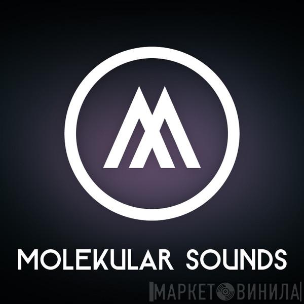 Molekular Sounds - Винил CD и Кассеты лейбла Molekular Sounds на сайте МаркетВинила
