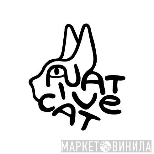 Native Cat Recordings - Винил CD и Кассеты лейбла Native Cat Recordings на сайте МаркетВинила