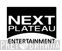 Next Plateau Entertainment - Винил CD и Кассеты лейбла Next Plateau Entertainment на сайте МаркетВинила