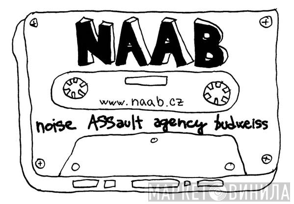Noise Assault Agency Budweiss - Винил CD и Кассеты лейбла Noise Assault Agency Budweiss на сайте МаркетВинила