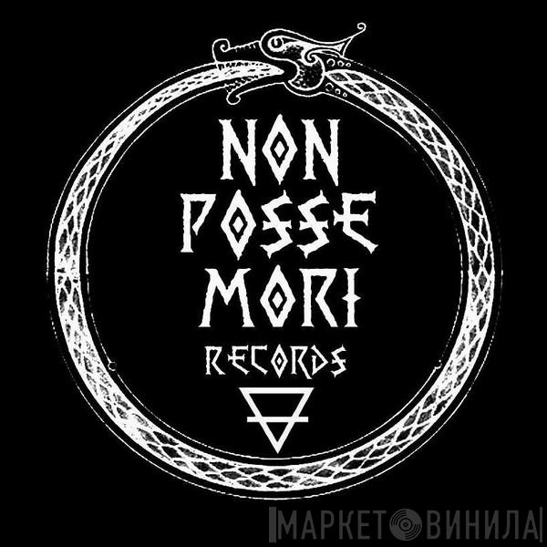 Non Posse Mori Records - Винил CD и Кассеты лейбла Non Posse Mori Records на сайте МаркетВинила