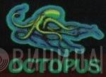 Octopus - Винил CD и Кассеты лейбла Octopus на сайте МаркетВинила