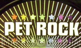 Pet Rock - Винил CD и Кассеты лейбла Pet Rock на сайте МаркетВинила