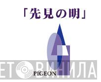 Pigeon  - Винил CD и Кассеты лейбла Pigeon (2) на сайте МаркетВинила