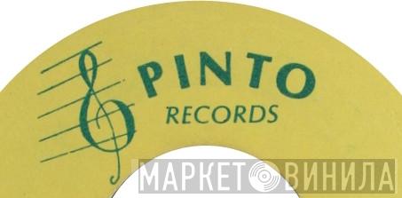 Pinto Records  - Винил CD и Кассеты лейбла Pinto Records (5) на сайте МаркетВинила