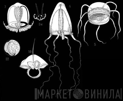 Planktone Unlimited Editions - Винил CD и Кассеты лейбла Planktone Unlimited Editions на сайте МаркетВинила