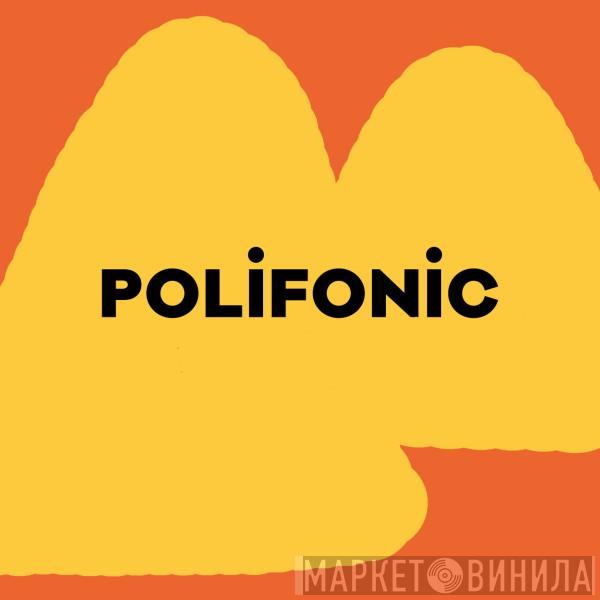 Polifonic - Винил CD и Кассеты лейбла Polifonic на сайте МаркетВинила