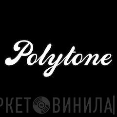 Polytone Recordings - Винил CD и Кассеты лейбла Polytone Recordings на сайте МаркетВинила