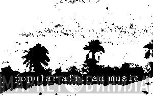 Popular African Music - Винил CD и Кассеты лейбла Popular African Music на сайте МаркетВинила