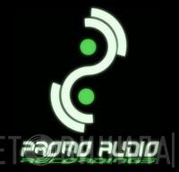Promo Audio Recordings - Винил CD и Кассеты лейбла Promo Audio Recordings на сайте МаркетВинила
