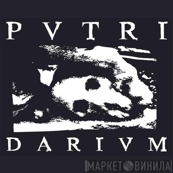 Putridarium Records - Винил CD и Кассеты лейбла Putridarium Records на сайте МаркетВинила