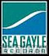Sea Gayle Records - Винил CD и Кассеты лейбла Sea Gayle Records на сайте МаркетВинила