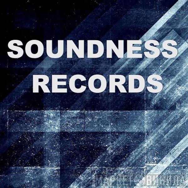 Soundness Records - Винил CD и Кассеты лейбла Soundness Records на сайте МаркетВинила