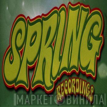 Spring Recordings - Винил CD и Кассеты лейбла Spring Recordings на сайте МаркетВинила
