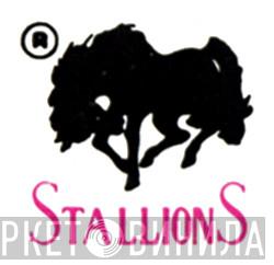Stallions - Винил CD и Кассеты лейбла Stallions на сайте МаркетВинила