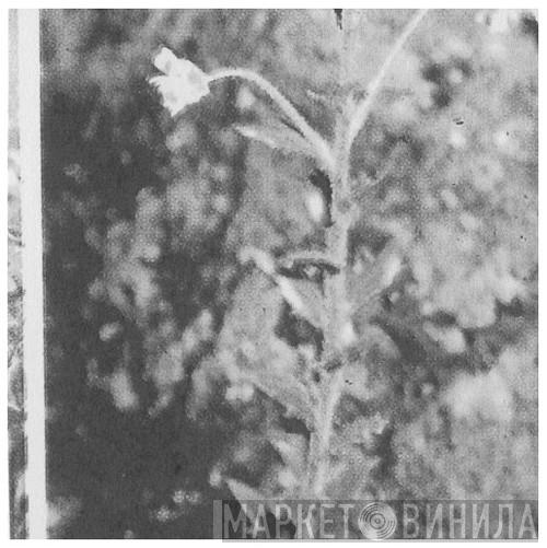 Strange Rules - Винил CD и Кассеты лейбла Strange Rules на сайте МаркетВинила